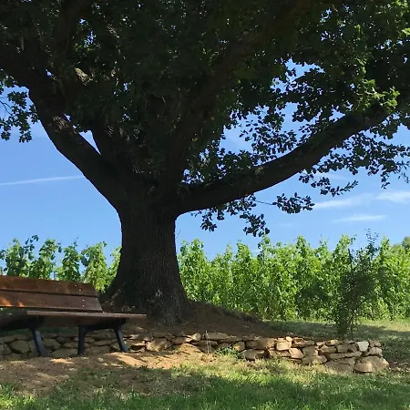 Couette-café Le Domaine De Gorneton Chasse-sur-Rhône