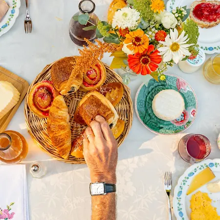 Le Domaine De Gorneton 4* Chasse-sur-Rhône