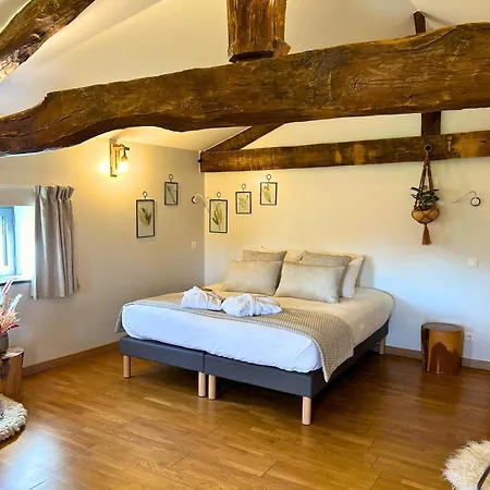 Le Domaine De Gorneton 4* Chasse-sur-Rhône