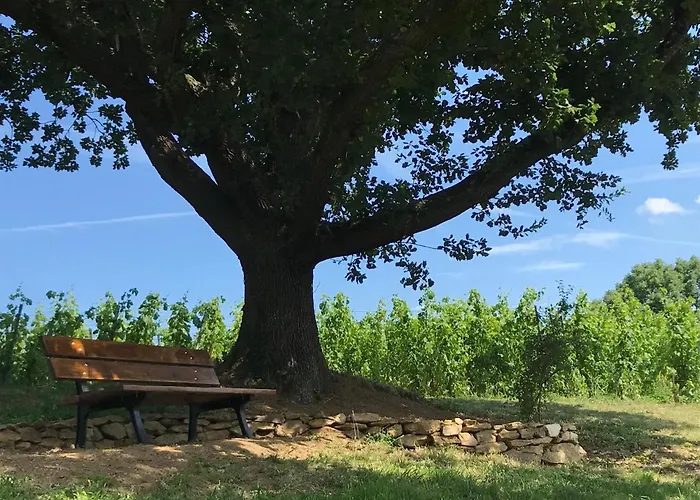 Oda ve Kahvaltı Le Domaine De Gorneton Chasse-sur-Rhône