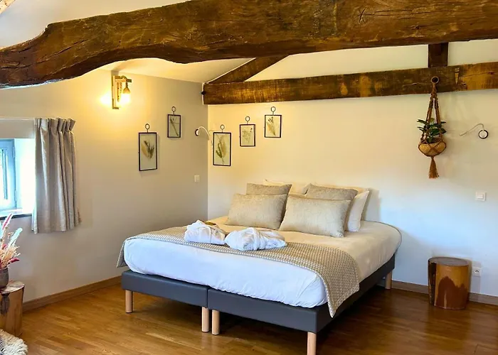 Le Domaine De Gorneton 4* Chasse-sur-Rhône